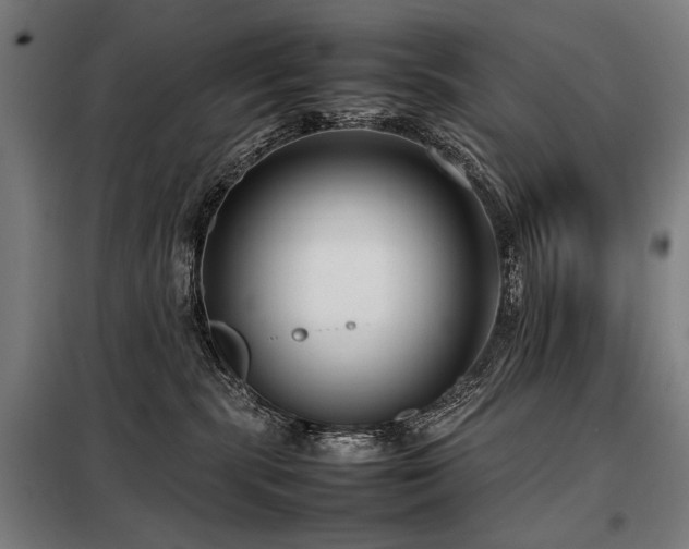 X0000098100283200804041251