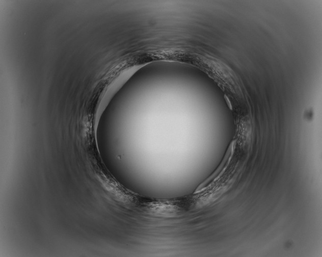 X0000098100284200804041251