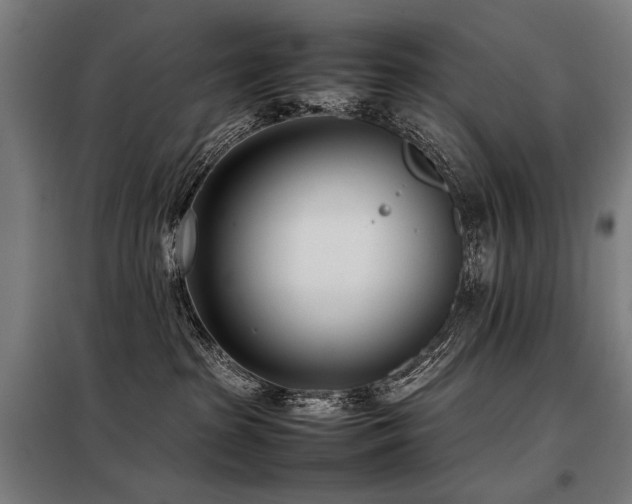 X0000098100285200804041251