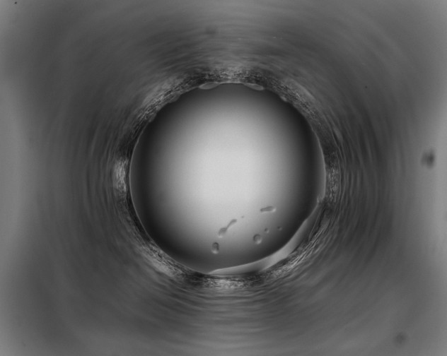 X0000098100286200804041251