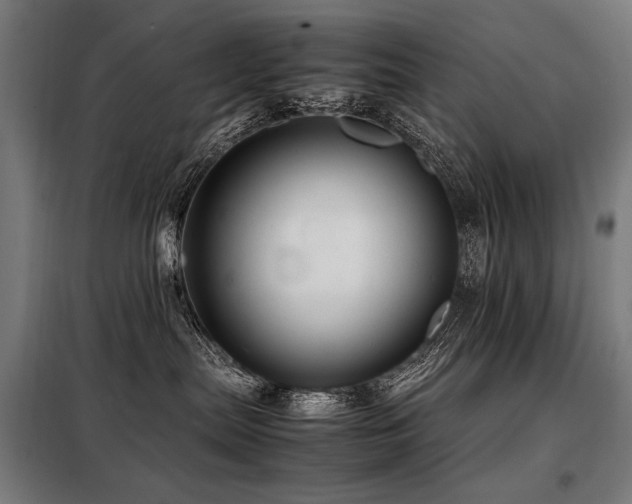 X0000098100287200804041251