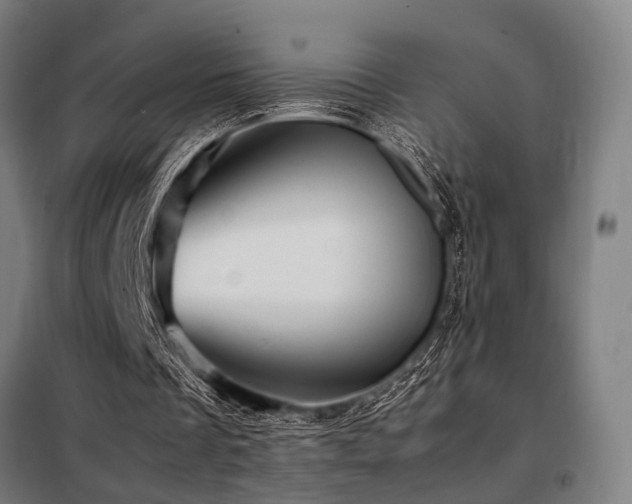 X0000098100289200804041250