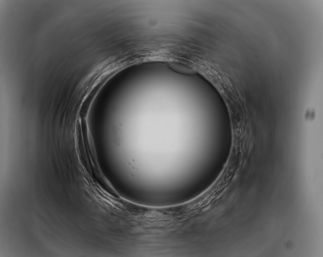 X0000098100290200804041250