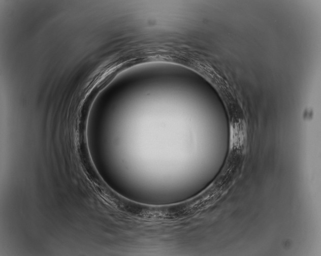 X0000098100291200804041250