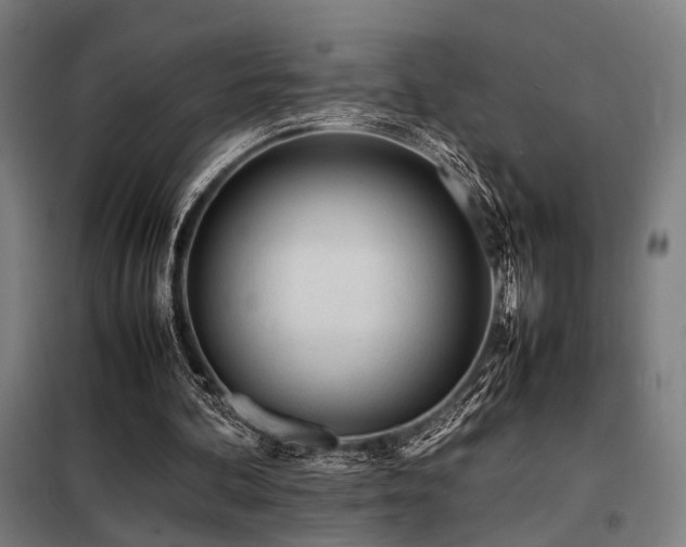 X0000098100292200804041250
