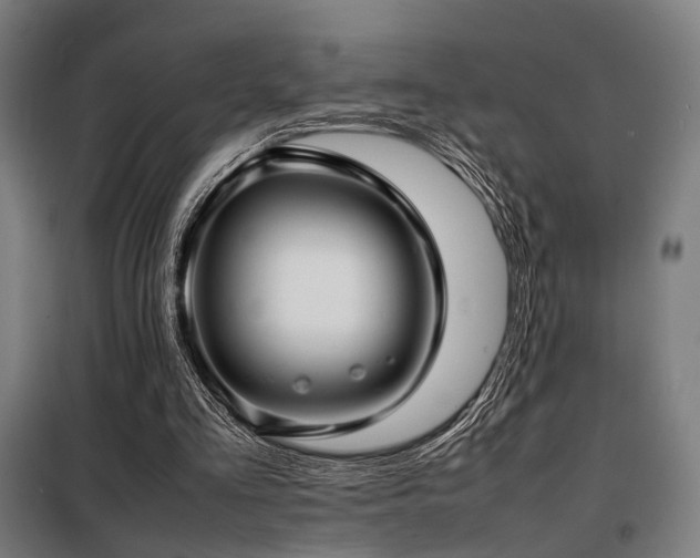 X0000098100293200804041250