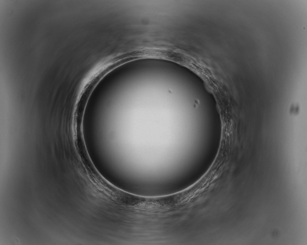 X0000098100294200804041250
