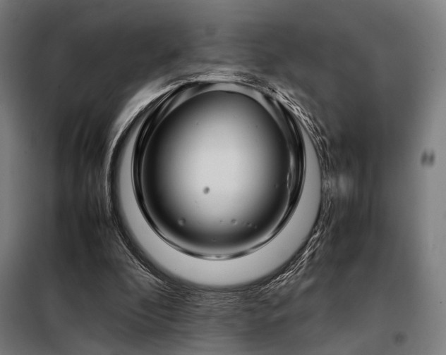 X0000098100296200804041250