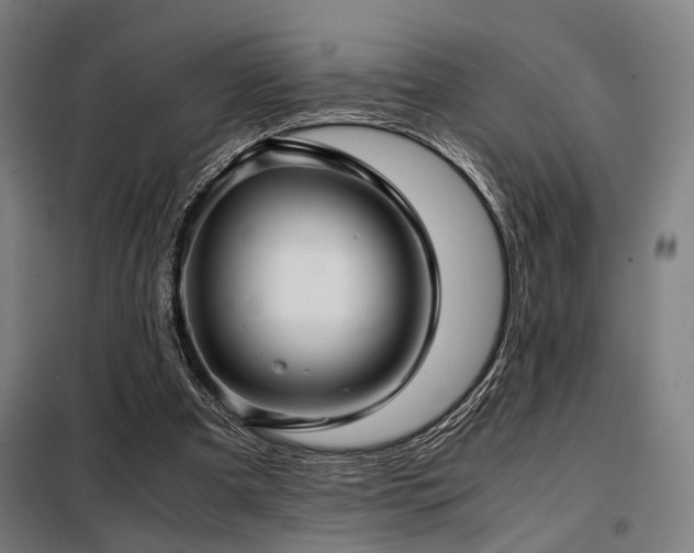 X0000098100297200804041250