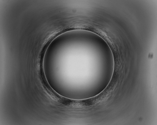 X0000098100299200804041250