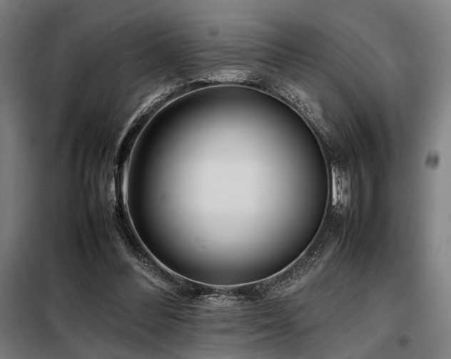 X0000098100300200804041250