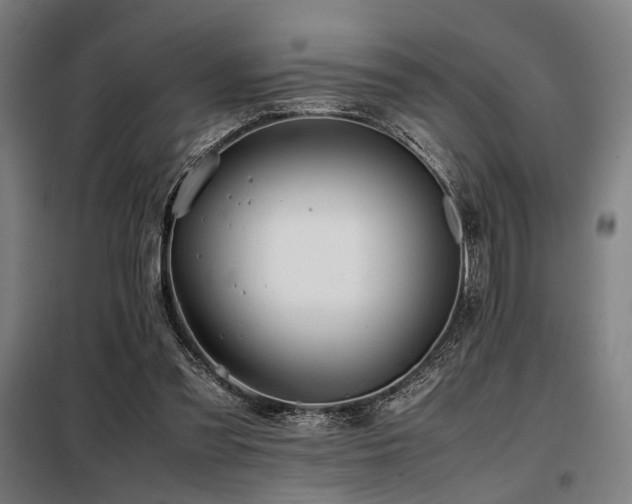X0000098100301200804041250