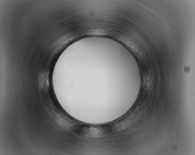 X0000098100302200804041250