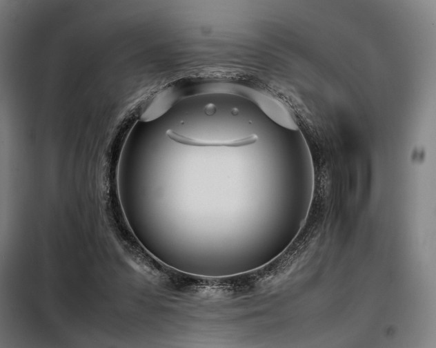 X0000098100303200804041250