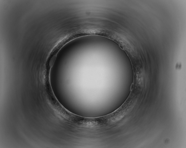 X0000098100304200804041250