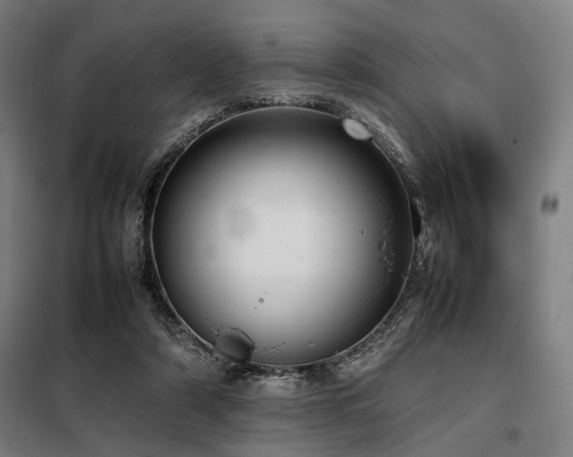 X0000098100306200804041250