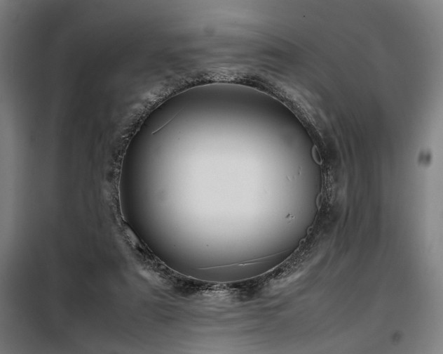 X0000098100307200804041250
