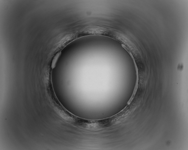 X0000098100309200804041250