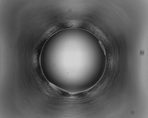 X0000098100312200804041250