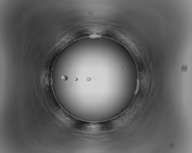X0000098100313200804041250