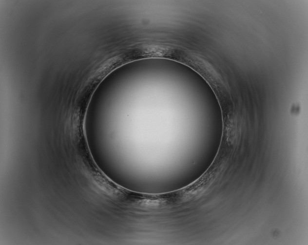 X0000098100314200804041250