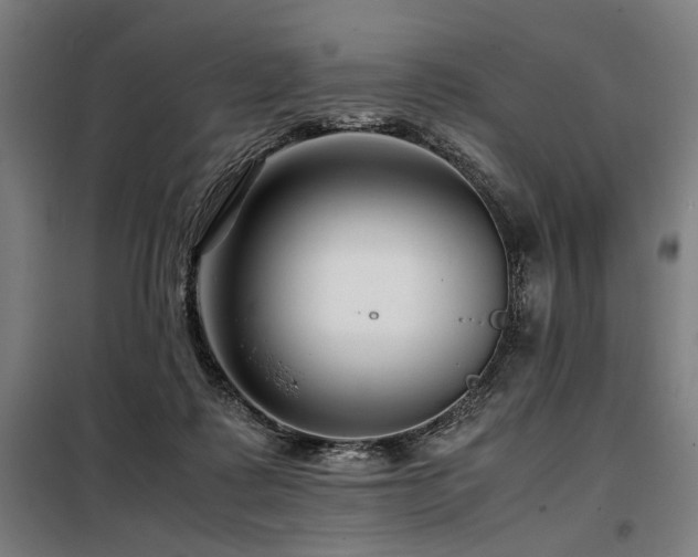 X0000098100315200804041250