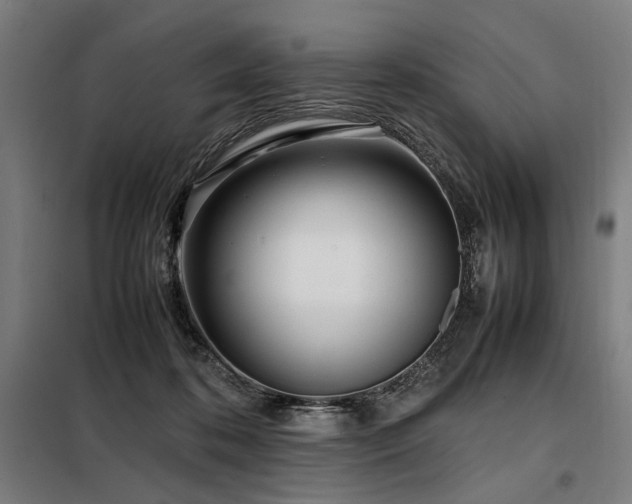 X0000098100316200804041250