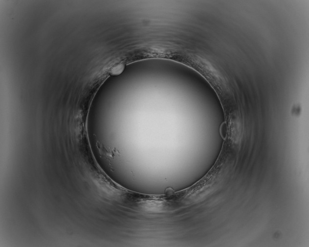 X0000098100318200804041250