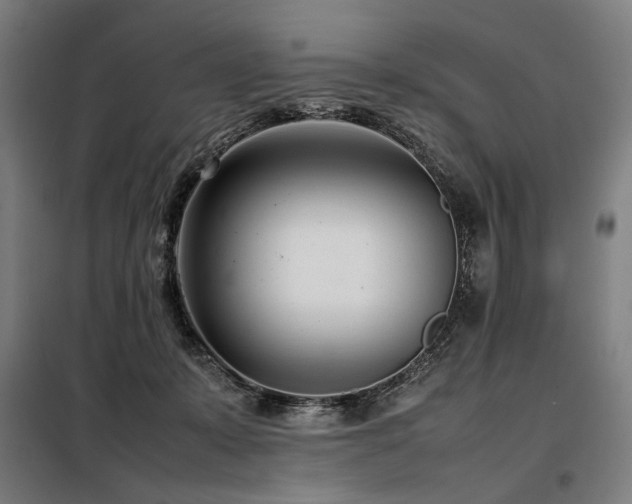 X0000098100319200804041250