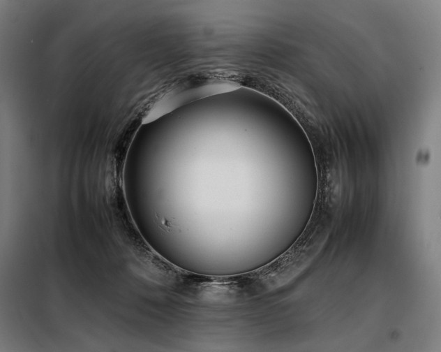 X0000098100320200804041250