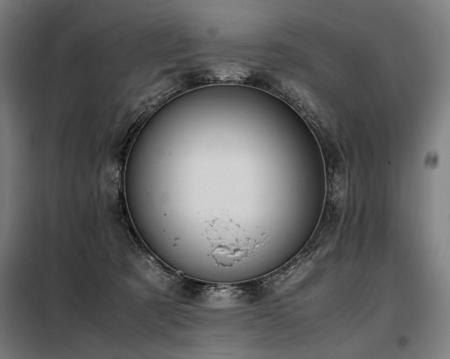 X0000098100321200804041250