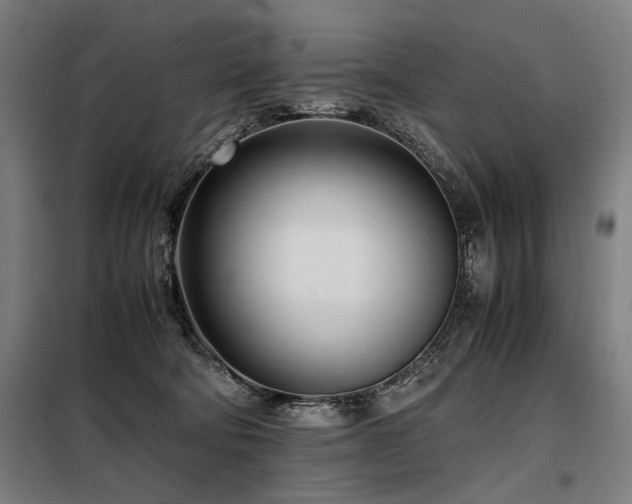 X0000098100322200804041250