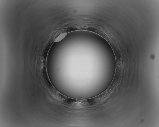 X0000098100323200804041250