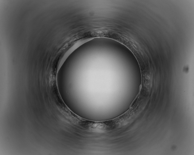 X0000098100324200804041250