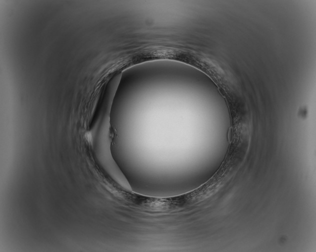 X0000098100325200804041250