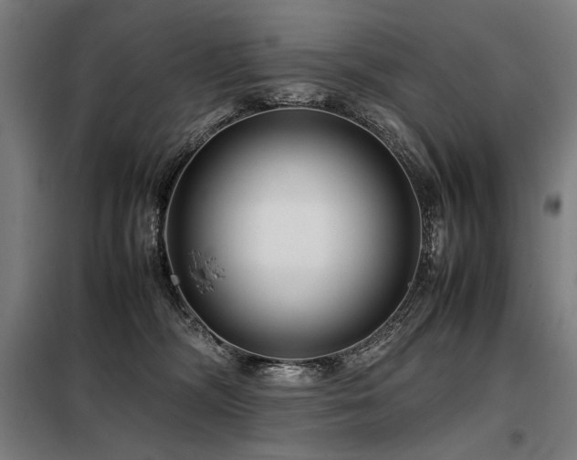 X0000098100326200804041250