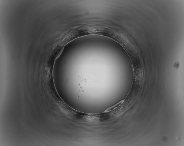 X0000098100327200804041250
