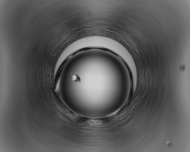 X0000098100328200804041250