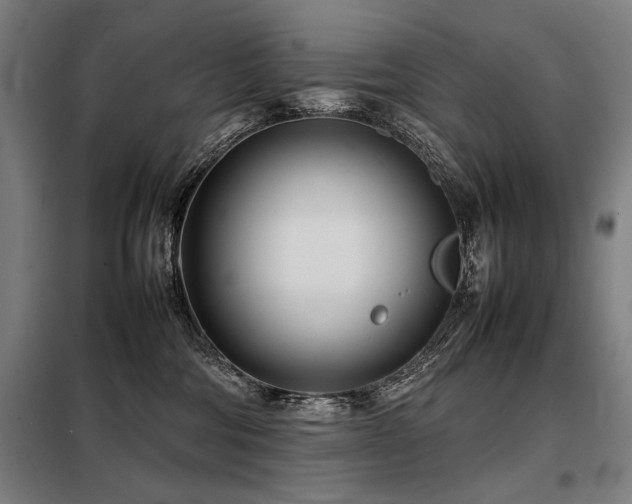 X0000098100330200804041249