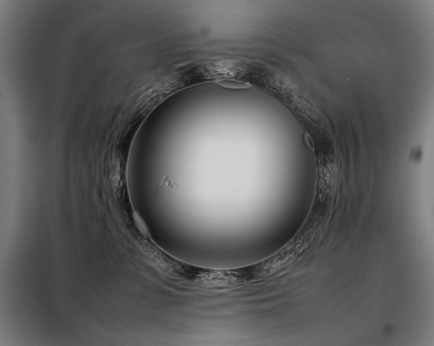 X0000098100331200804041249