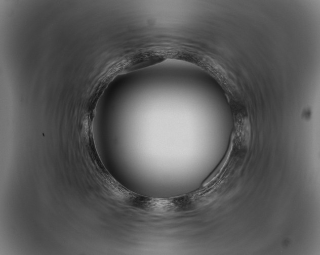 X0000098100333200804041249