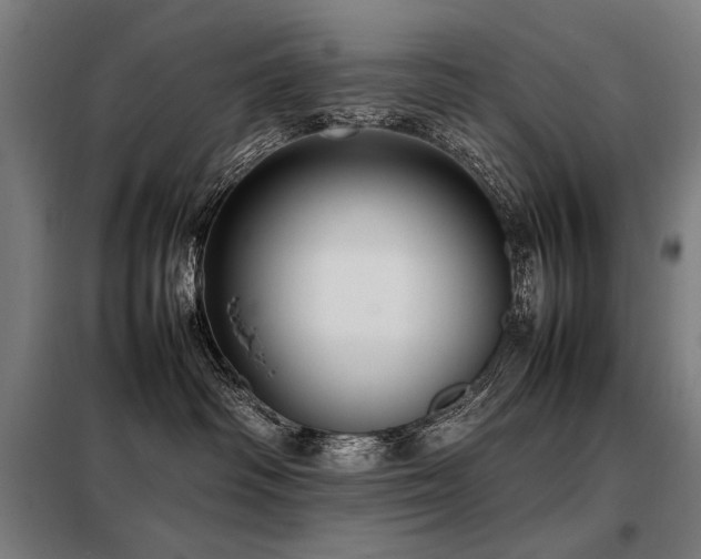 X0000098100334200804041249