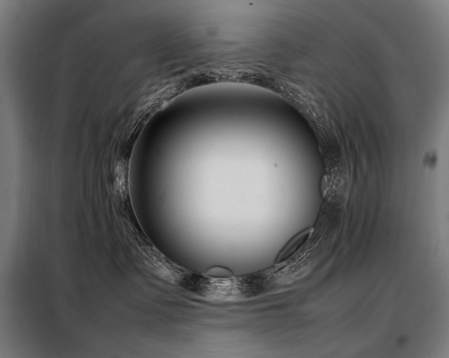 X0000098100335200804041249