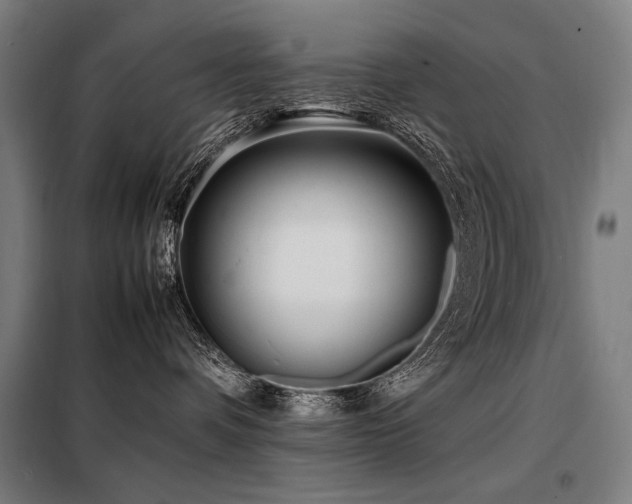 X0000098100336200804041249