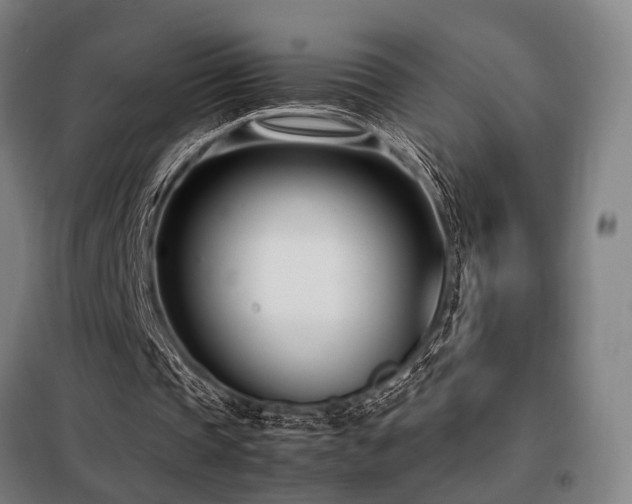 X0000098100337200804041249