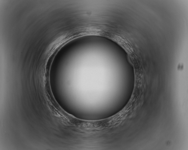 X0000098100338200804041249