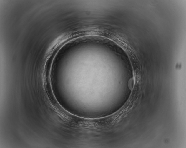 X0000098100339200804041249