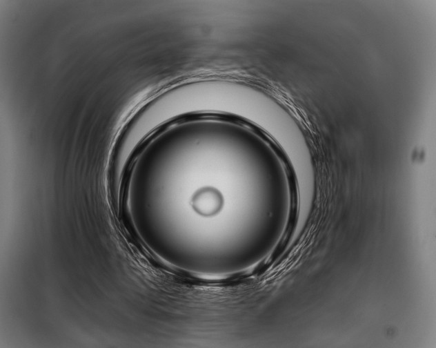 X0000098100340200804041249