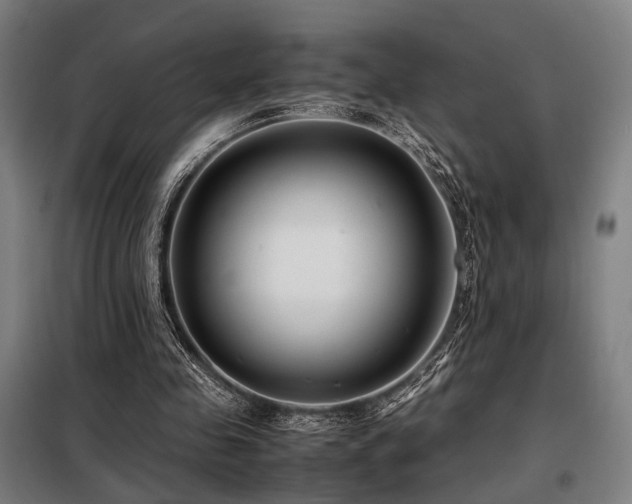 X0000098100341200804041249