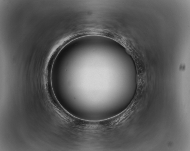 X0000098100342200804041249